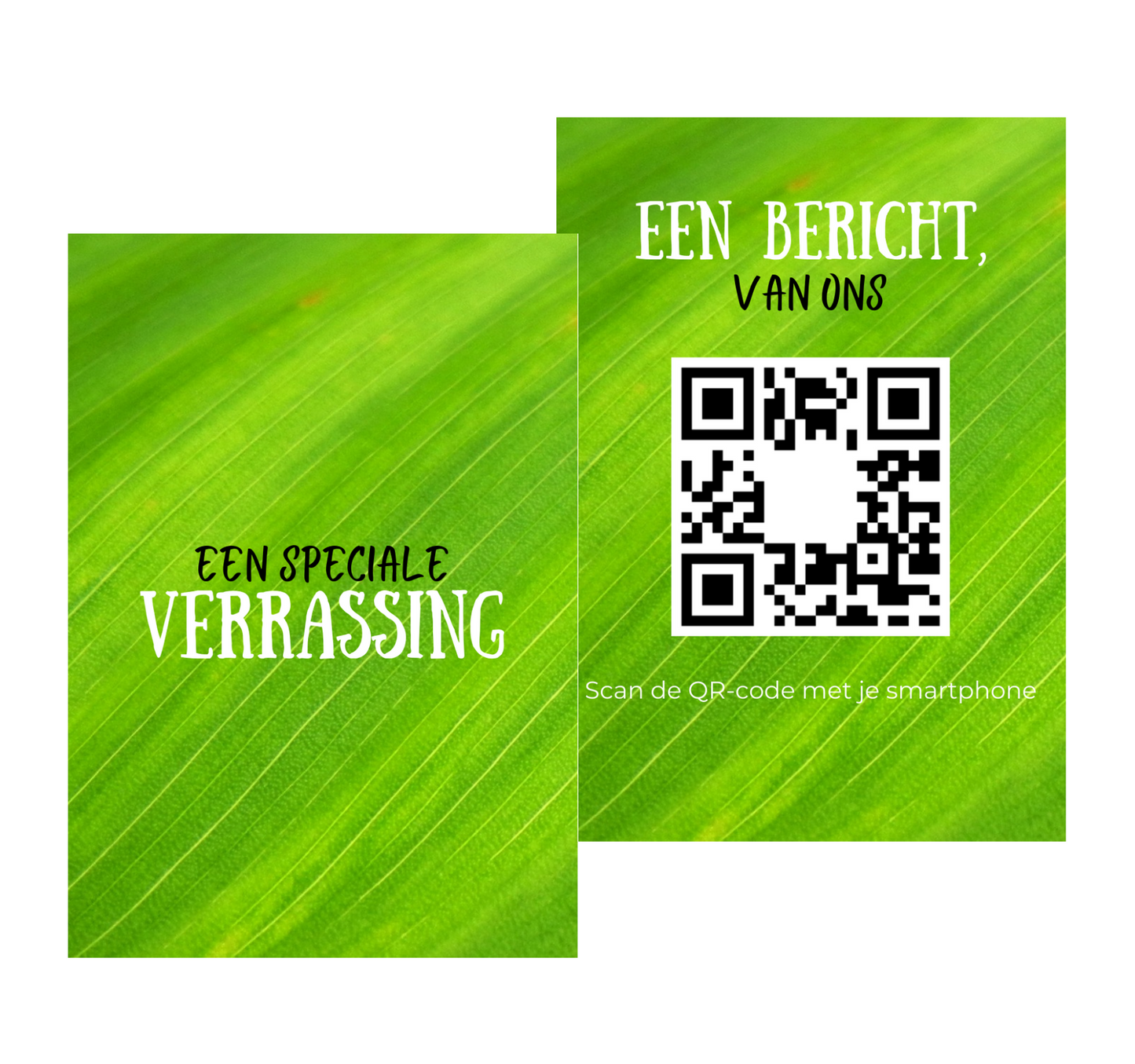 Bericht van ons